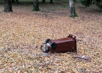 Nauji konteineriai: daug neatsakytų klausimų