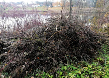 Pranešė apie šiukšlyną prie pat upės