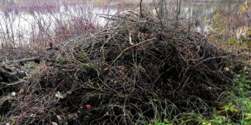 Pranešė apie šiukšlyną prie pat upės