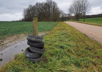 „Džiugina“ seniūnijos šiukšlintojai