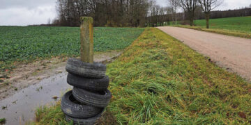 „Džiugina“ seniūnijos šiukšlintojai