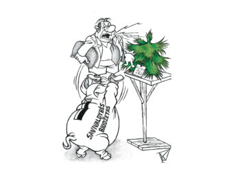 Kai kurie tarybos nariai – kaip brangios puošmenos