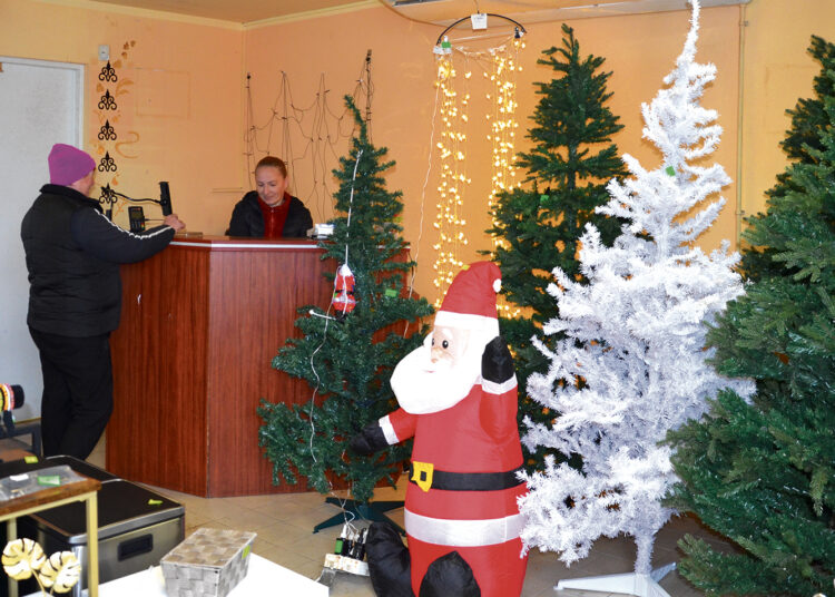 „Namų krautuvėlė“ – šventiniam jaukumui ir kasdieniam patogumui