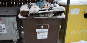 Apie žaliąjį rūšiavimą ir vežėjus