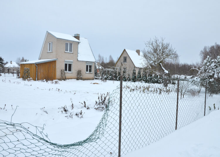 Stirnos kančias nutraukė instrukcijų neieškojęs medžiotojas