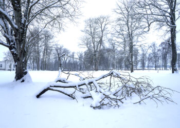 Rytojus, prasidėjęs vakar
