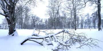 Rytojus, prasidėjęs vakar