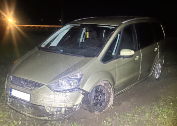 Susidūrimas su stirna baigėsi be stipresnių žmogaus sužalojimų