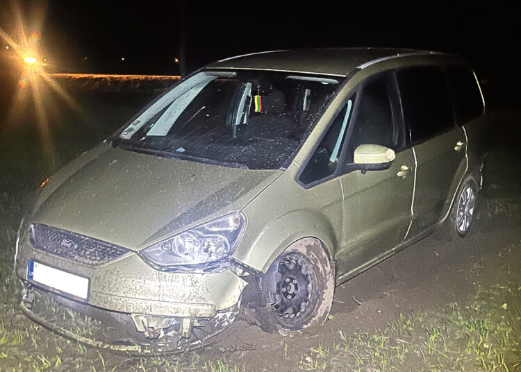 Susidūrimas su stirna baigėsi be stipresnių žmogaus sužalojimų