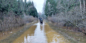 Apsemtame kelyje apvirto miškovežis