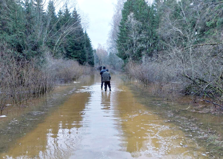 Apsemtame kelyje apvirto miškovežis