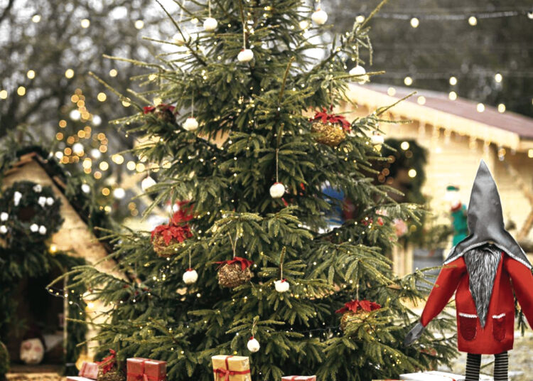 Gražiausios metų šventės prasidės Kalėdų rančoje