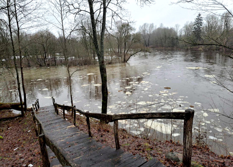 Vandens lygis Nemunėlyje pakilo perpus