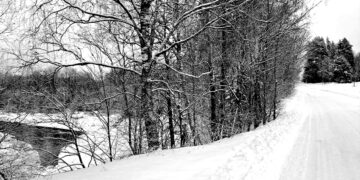 Kol nėra užsimušusiųjų – atitvarų nelaukti?