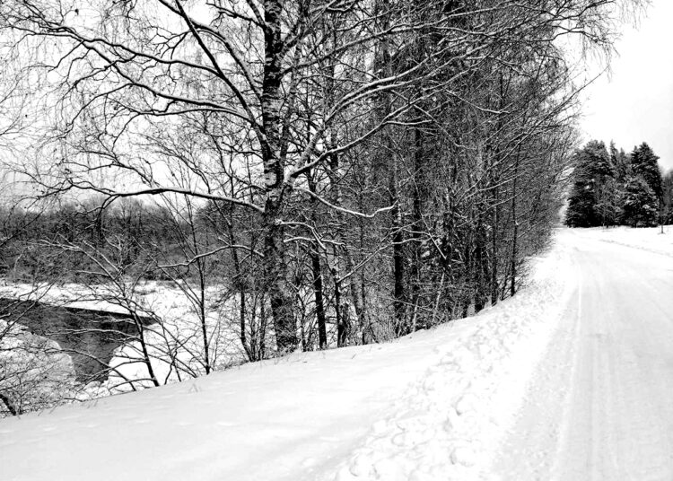 Kol nėra užsimušusiųjų – atitvarų nelaukti?