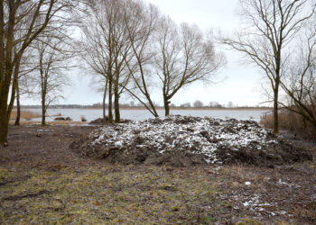 Kilučių ežero pakrantėje pajudėjo naujos maudyklos ruošimas