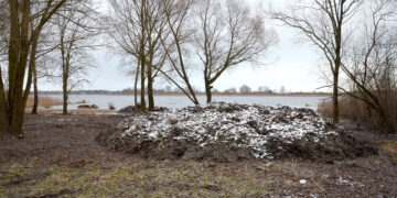 Kilučių ežero pakrantėje pajudėjo naujos maudyklos ruošimas
