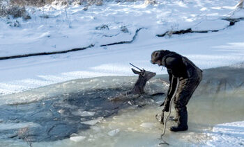 Medžiokliai nuo žūties vandenyje išgelbėjo elnius