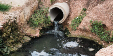 Nauja informacinė sistema apsunkins gyvenimą „paprastam žmogui“