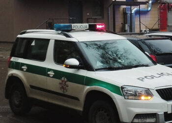 Šuolis pro langą išvengti sulaikymo nepadėjo