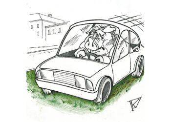 Atvažiavo daryti tvarkos, pasielgė kiauliškai, apkaltino kitus