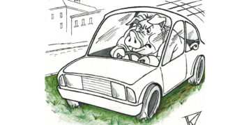 Atvažiavo daryti tvarkos, pasielgė kiauliškai, apkaltino kitus