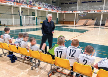 Mažamečiai – gyvi politinės jėgos reklamos stendai