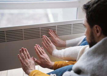 Kas žiemą brolis, arba kokią krosnį kūrenti