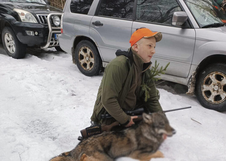Pirmasis medžioklės sezono vilkas krito Žalgirio miške