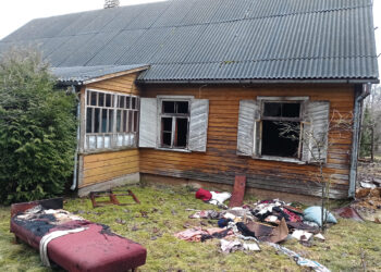 Gaisrai kėsinosi į namą ir malkinę