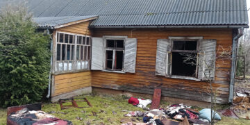 Gaisrai kėsinosi į namą ir malkinę