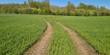 Patvirtintos atnaujintos tiesioginių išmokų taisyklės