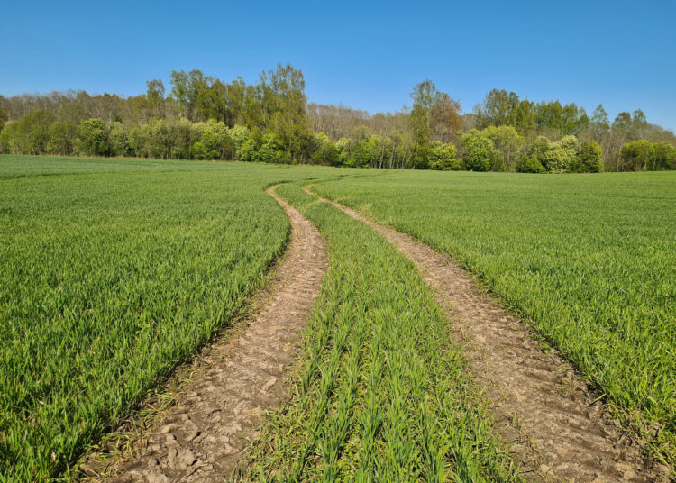 Patvirtintos atnaujintos tiesioginių išmokų taisyklės