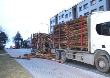 Mieliūnuose apvirto automobilis, Biržuose išvirto rąstai