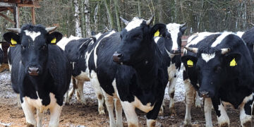 Investicijos į biosaugą padeda valdyti užkrečiamųjų ligų riziką