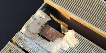 Graužatis: bebrų grybšniai per lieptą, žvejams – per širdį