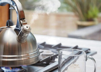 Nelaimė ištiko viešint pas senelius