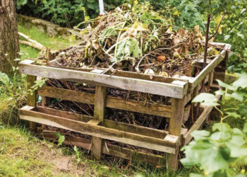 Ar skaičiuosime kompostines pavasarį