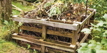 Ar skaičiuosime kompostines pavasarį