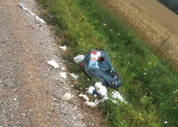 Finišavo pakelės šiukšlių rinkimo projektas