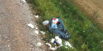 Finišavo pakelės šiukšlių rinkimo projektas