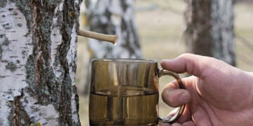 Sulos leidėjui – administracinė bauda