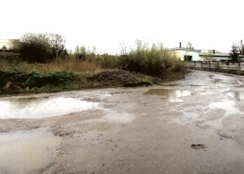 Verslininkai ruošiasi susekti šiukšlintojus