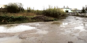 Verslininkai ruošiasi susekti šiukšlintojus