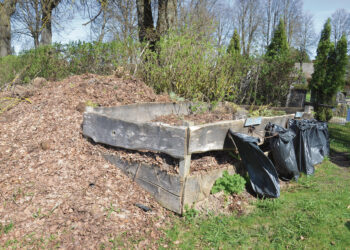 Ultimatumas dėl tvarkos kapinėse