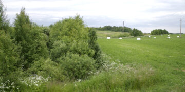 Palanki žinia ūkininkams: visi formalumai suderinti, šįmet daugiamečių pievų atkurti tikrai nereikės