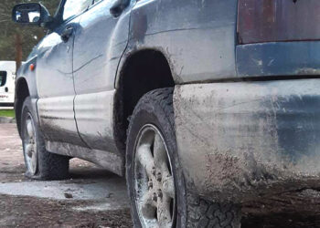 Rinkuškiuose suniokojo automobilį