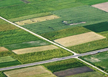 Ruošiamasi pasėlių deklaravimui