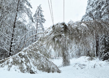 Išsiskleidę žiedai virto ledu, medžiai krito ant kelių ir automobilių