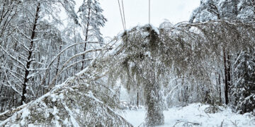 Išsiskleidę žiedai virto ledu, medžiai krito ant kelių ir automobilių